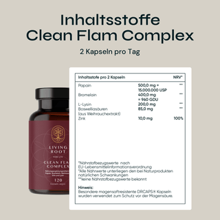 Clean Flam Complex