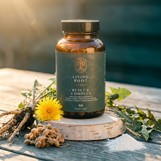 Living Root Reset C Complex Braunglas mit Löwenzahnwurzel, Löwenzahnblüte und fermentierten Sojabohnen