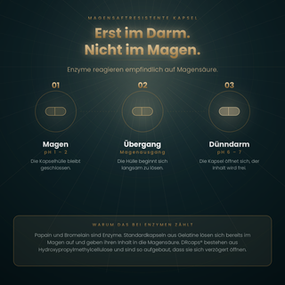 Magensaftresistente DRcaps Kapseln in beiden Produkten